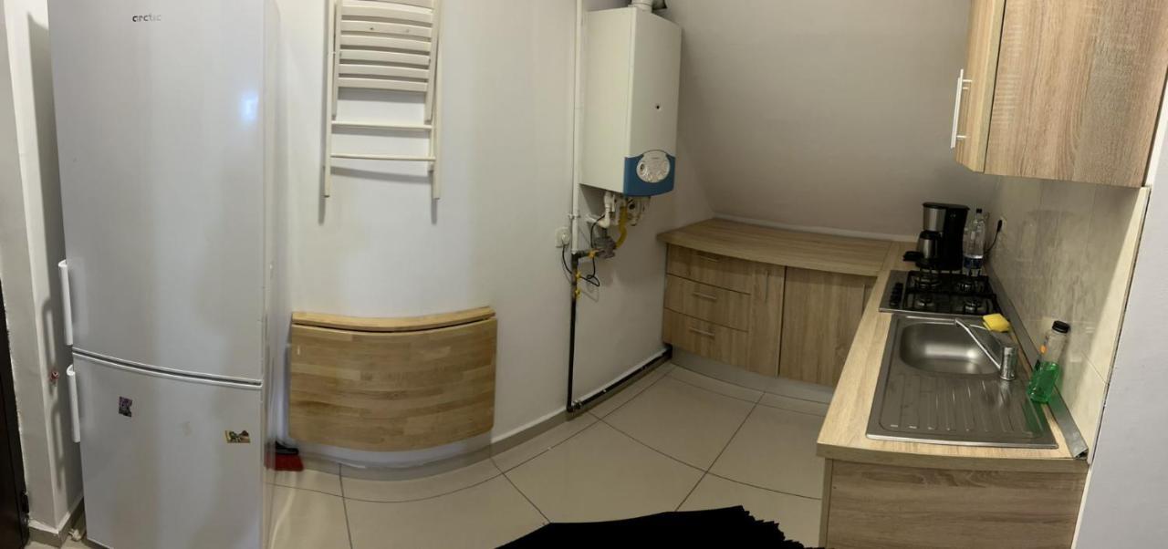 Ferienwohnung Chez Ana Otopeni Exterior foto